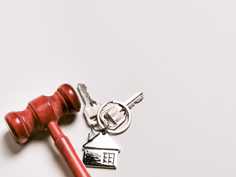 shutterstock_2075947108-800px